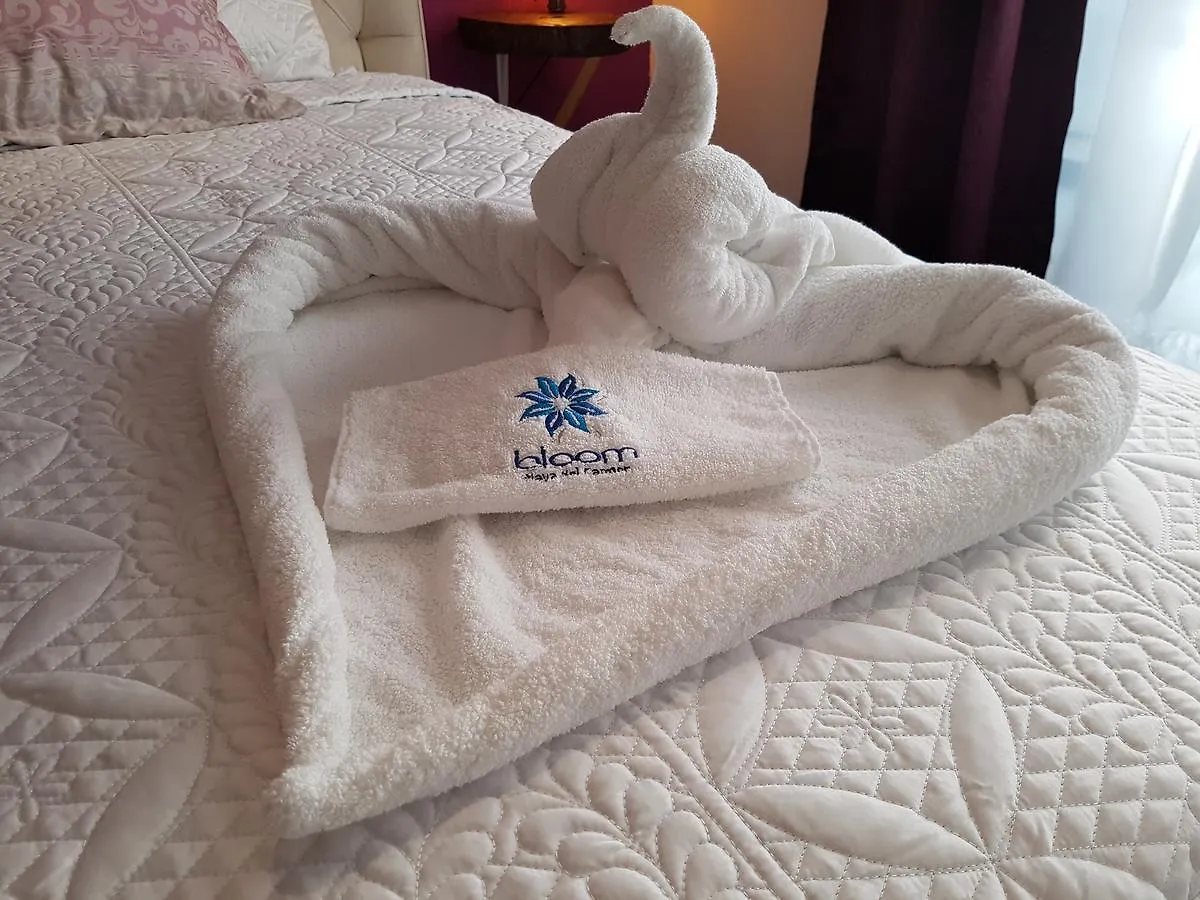 Bloom! Exclusive Boutique B&B (Adults Only) Playa del Carmen Hotel
