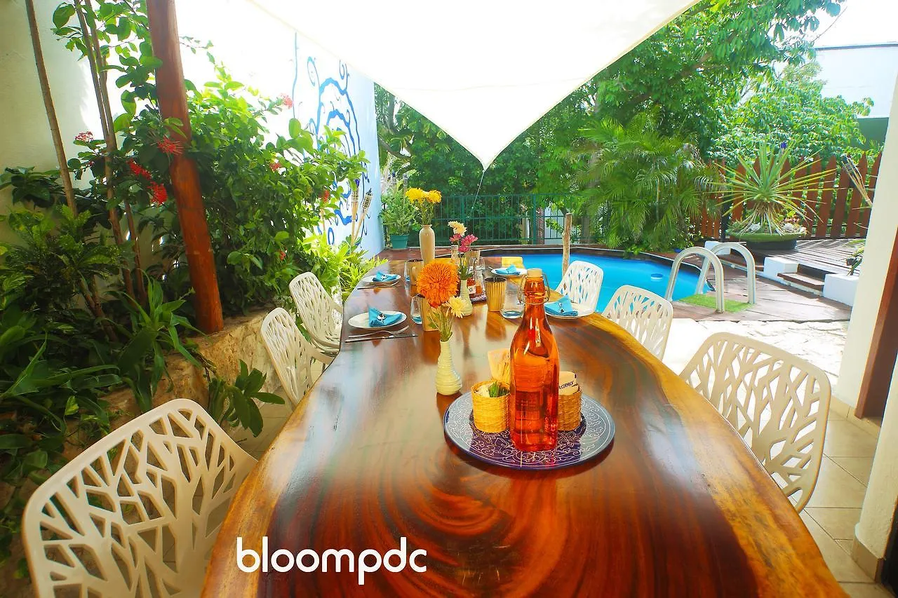Hotel Bloom! Exclusive Boutique B&B (Adults Only) Playa del Carmen