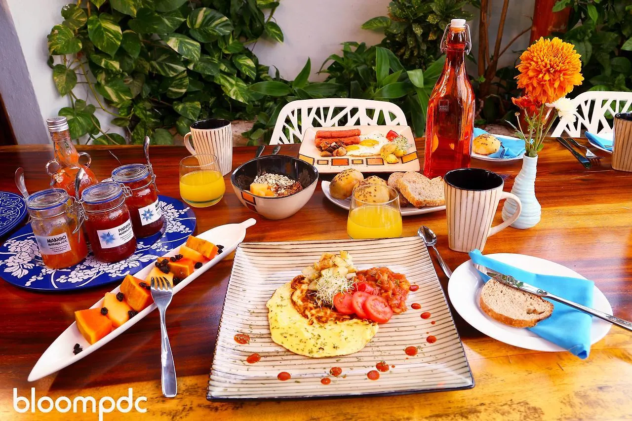Bloom! Exclusive Boutique B&B (Adults Only) Playa del Carmen 3*,  México