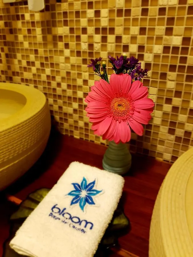 Bloom! Exclusive Boutique B&B (Adults Only) Playa del Carmen