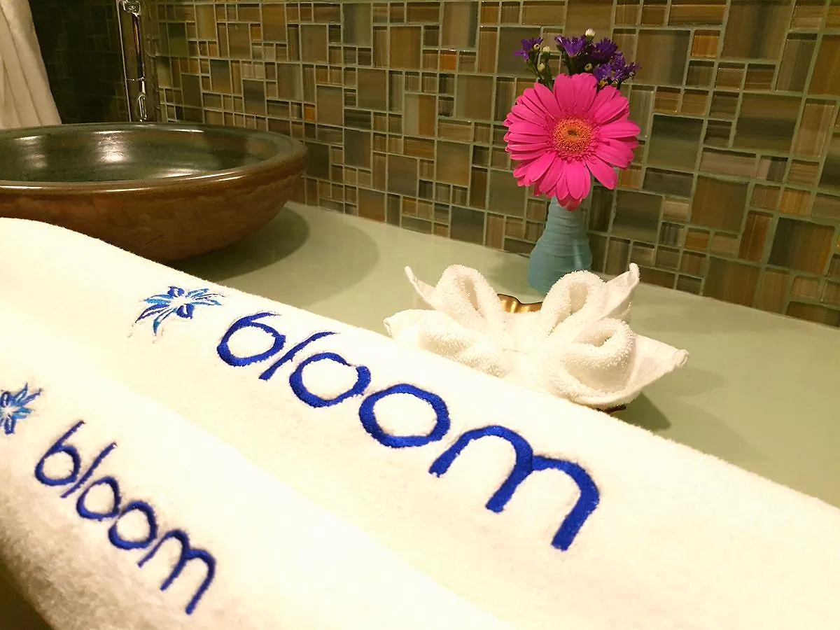 Hotel Bloom! Exclusive Boutique B&B (Adults Only) Playa del Carmen