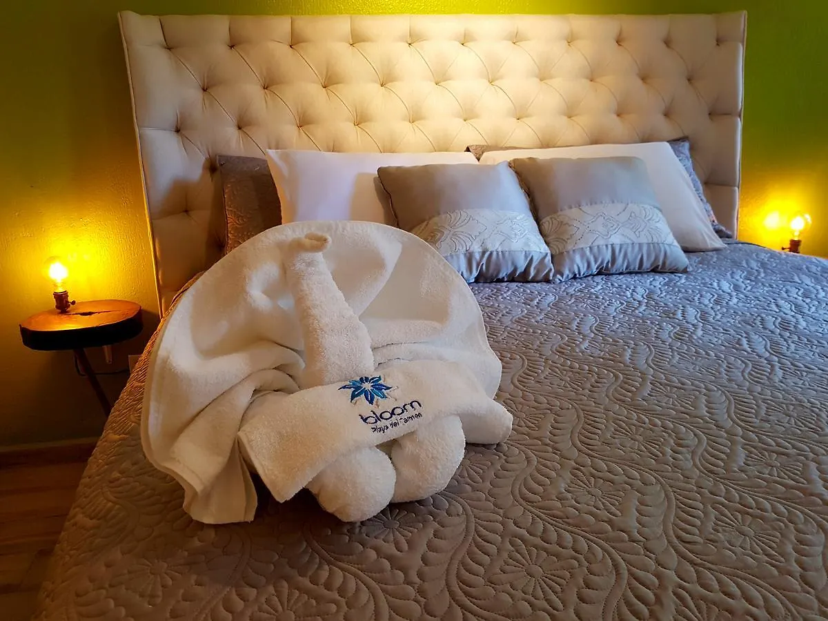 Bloom! Exclusive Boutique B&B (Adults Only) Playa del Carmen