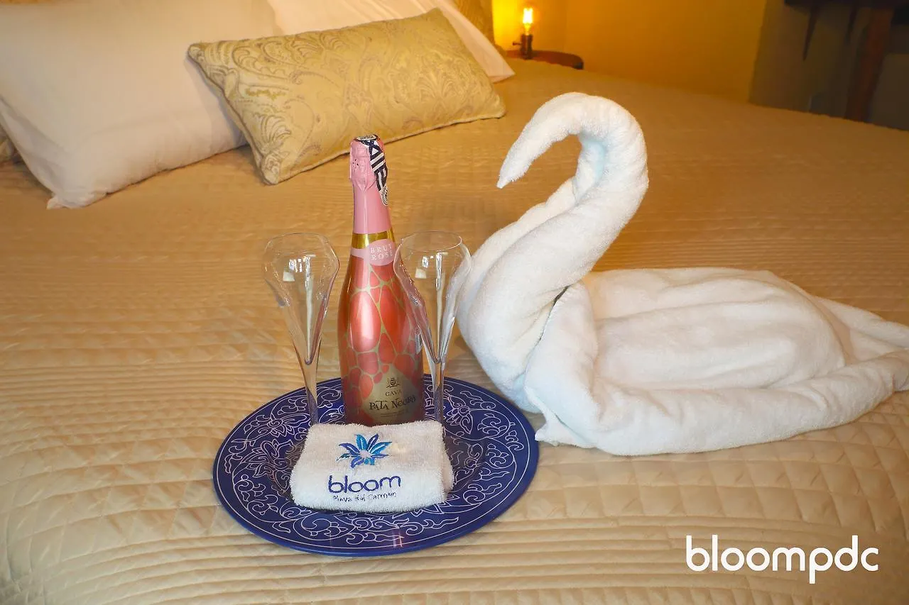 Bloom! Exclusive Boutique B&B (Adults Only) Playa del Carmen Hotel
