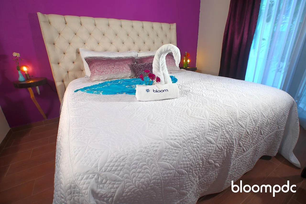 Bloom! Exclusive Boutique B&B (Adults Only) Playa del Carmen Mexico