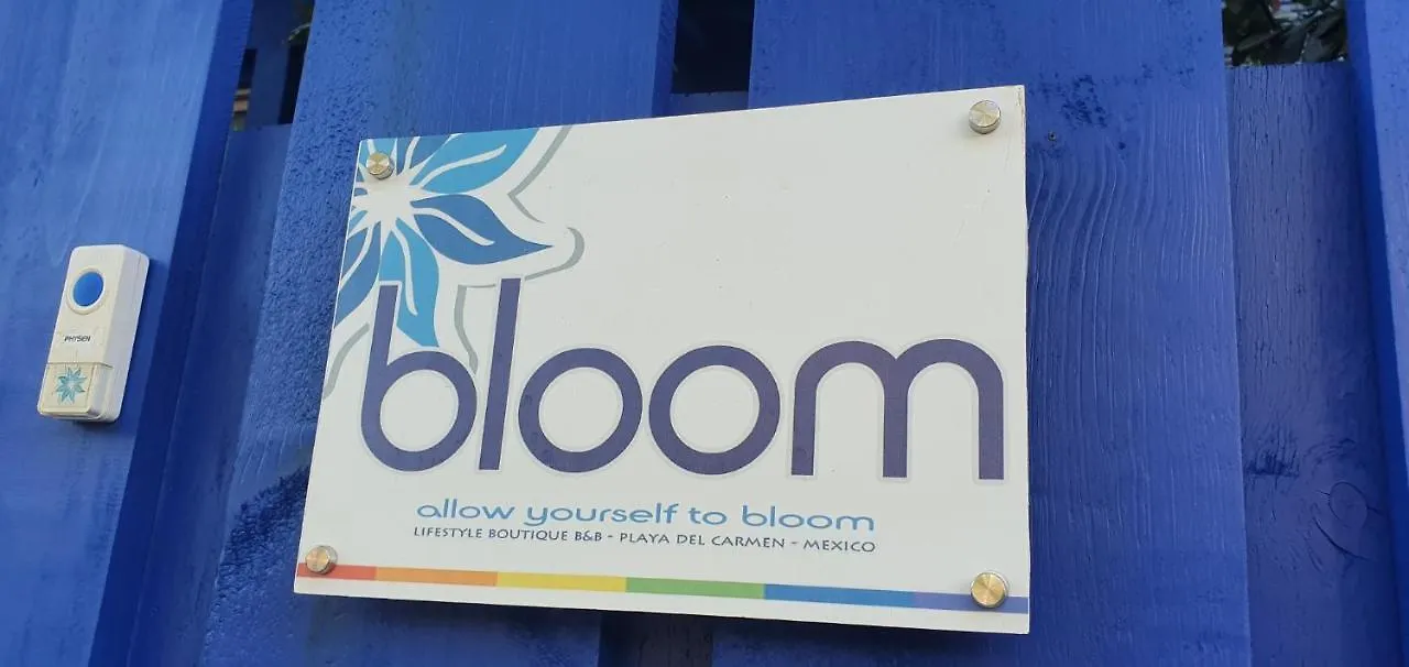 Bloom! Exclusive Boutique B&B (Adults Only) Playa del Carmen 3*,  Mexico